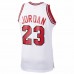 Chicago Bulls Michael Jordan Men's Mitchell & Ness White 1984-85 Hardwood Classics Rookie Authentic Jersey