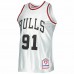 Chicago Bulls Dennis Rodman Men's Mitchell & Ness Platinum 1997-98 Hardwood Classics 75th Anniversary Swingman Jersey