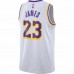 Los Angeles Lakers LeBron James Nike White 2020/21 Swingman Jersey - Association Edition