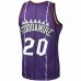 Toronto Raptors Damon Stoudamire Men's Mitchell & Ness Purple 1995-96 Hardwood Classics Swingman Player Jersey