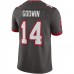 Tampa Bay Buccaneers Chris Godwin Men's Nike Pewter Alternate Vapor Limited Jersey